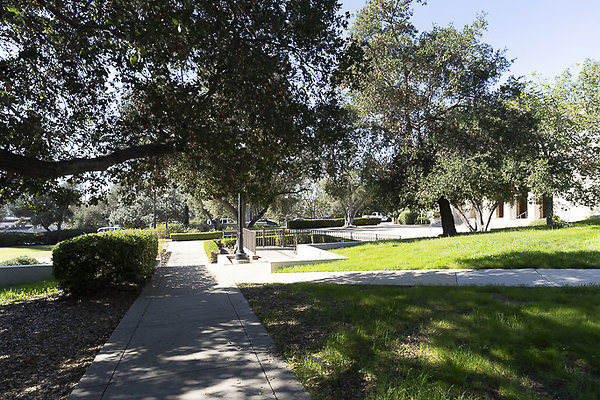 OCCIDENTAL COLLEGE-168 OCCIDENTAL COLLEGE-168