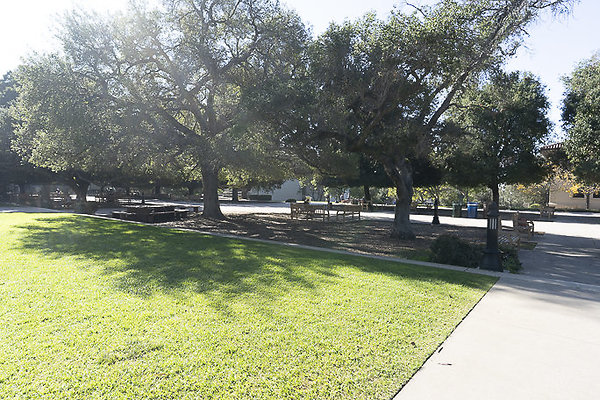 OCCIDENTAL COLLEGE-57
