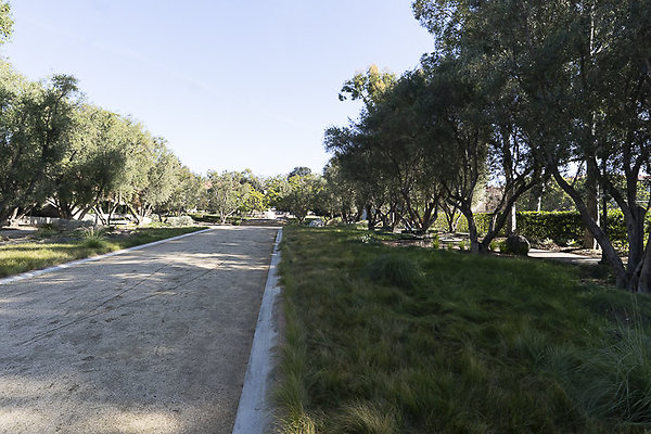OCCIDENTAL COLLEGE-1