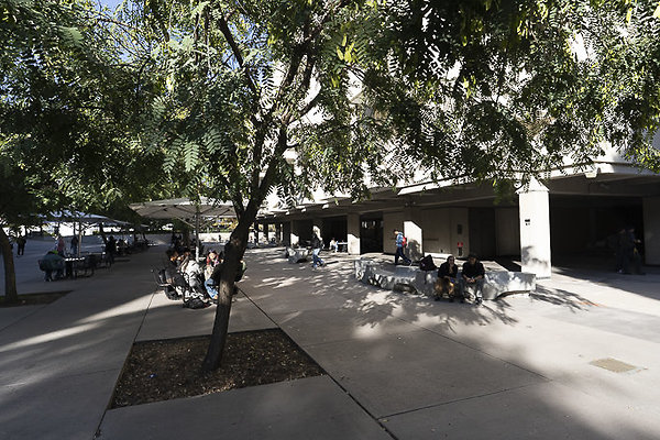 CAL STATE LA-81 CAL STATE LA-81