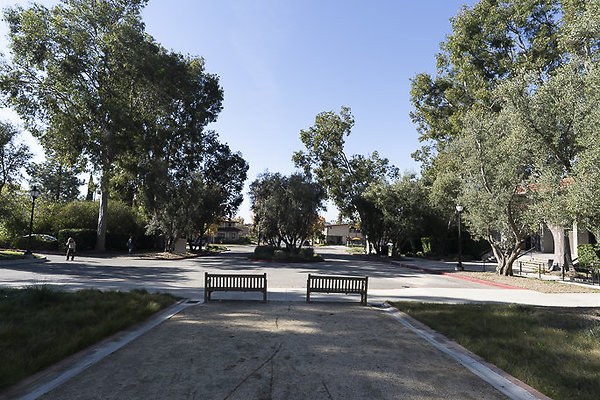 OCCIDENTAL COLLEGE-7