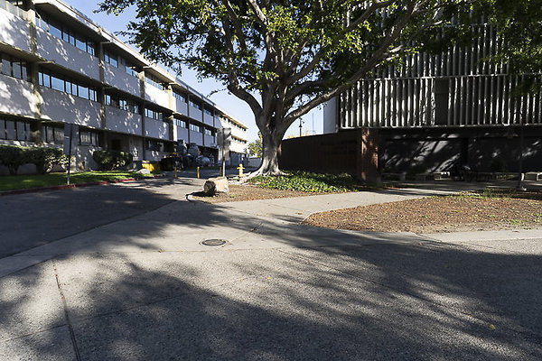 CAL STATE LA-58 CAL STATE LA-58