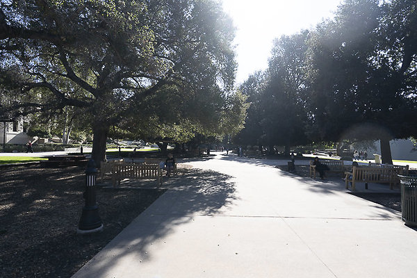 OCCIDENTAL COLLEGE-44