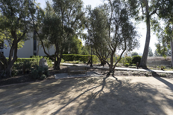 OCCIDENTAL COLLEGE-15