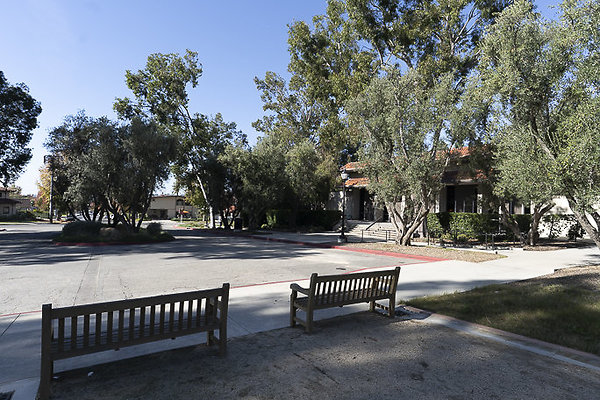 OCCIDENTAL COLLEGE-9