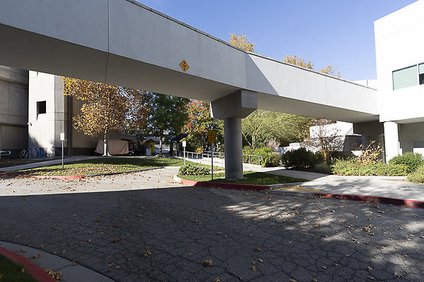 COLLEGE OF THE CANYONS-273 COLLEGE OF THE CANYONS-273