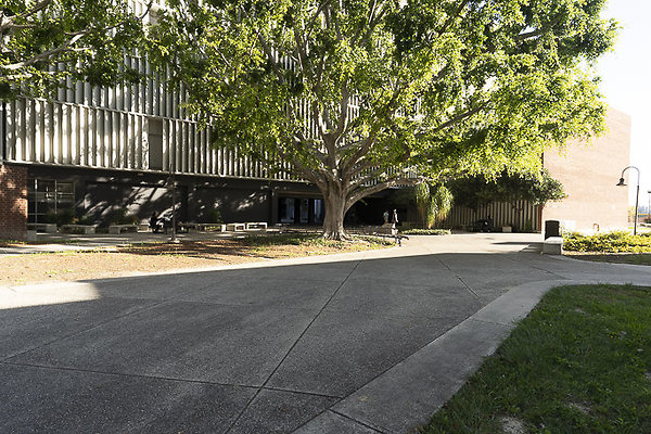 CAL STATE LA-63 CAL STATE LA-63