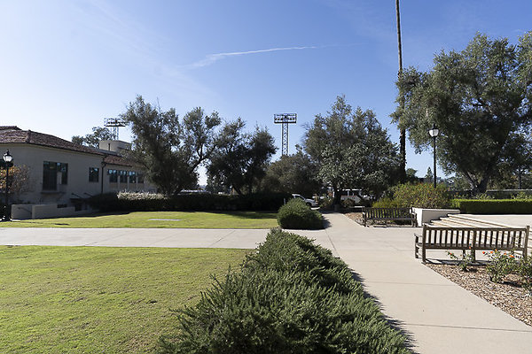 OCCIDENTAL COLLEGE-173 OCCIDENTAL COLLEGE-173