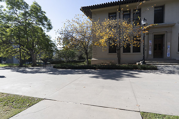 OCCIDENTAL COLLEGE-41