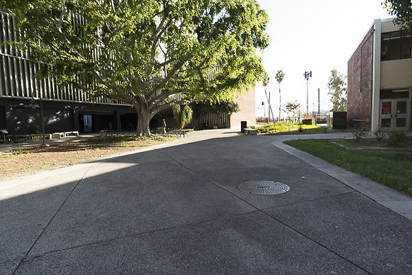 CAL STATE LA-61 CAL STATE LA-61