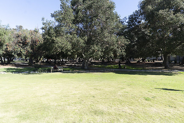 OCCIDENTAL COLLEGE-155 OCCIDENTAL COLLEGE-155