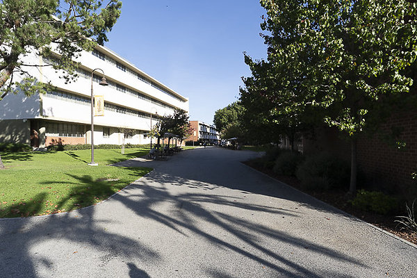 CAL STATE LA-65 CAL STATE LA-65