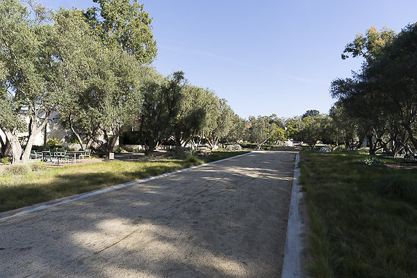 OCCIDENTAL COLLEGE-2
