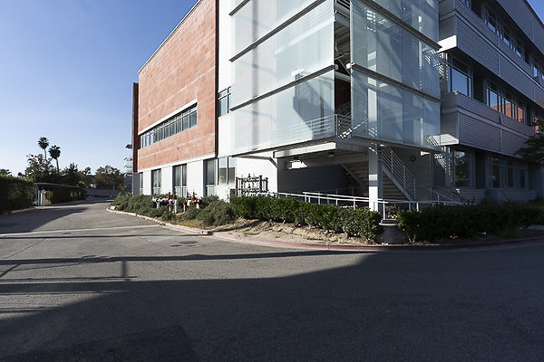 CAL STATE LA-41 CAL STATE LA-41