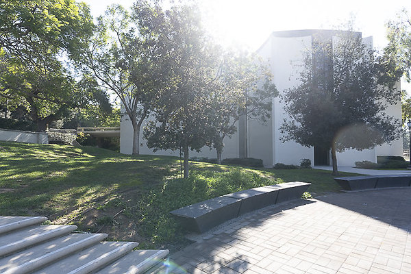 OCCIDENTAL COLLEGE-31