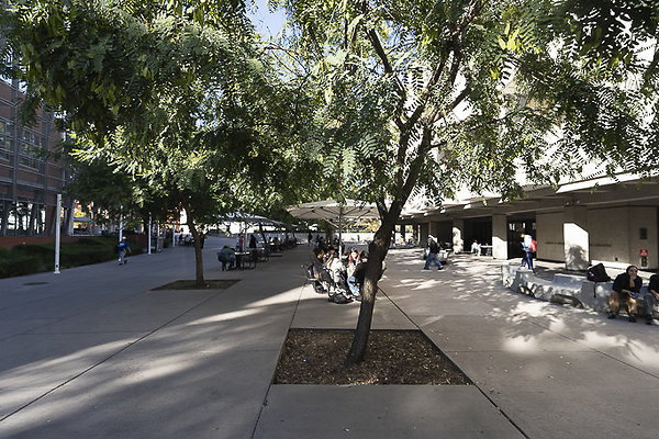 CAL STATE LA-82 CAL STATE LA-82