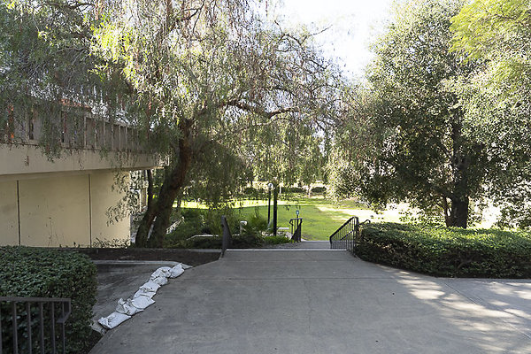 OCCIDENTAL COLLEGE-80 OCCIDENTAL COLLEGE-80