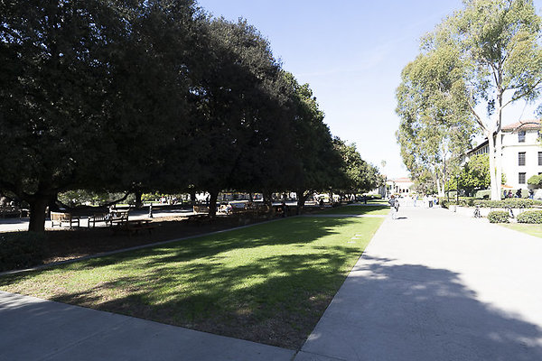 OCCIDENTAL COLLEGE-217