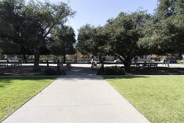 OCCIDENTAL COLLEGE-56