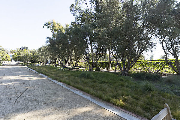 OCCIDENTAL COLLEGE-4