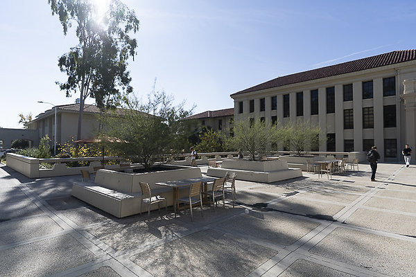 OCCIDENTAL COLLEGE-204