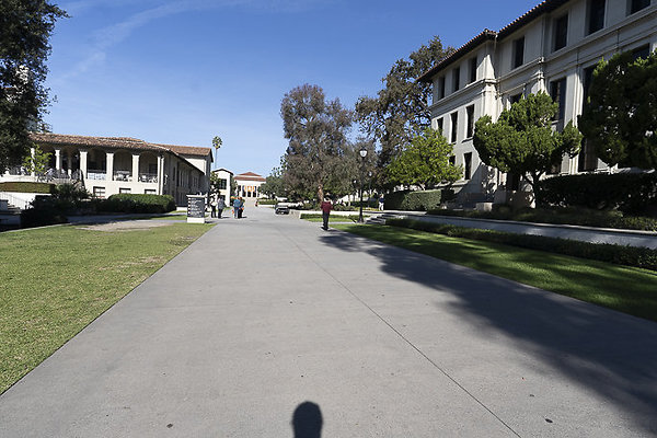 OCCIDENTAL COLLEGE-53