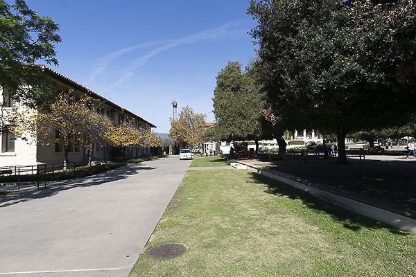 OCCIDENTAL COLLEGE-33