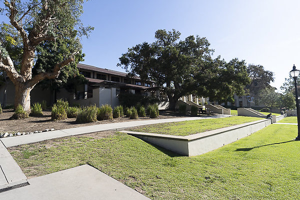 OCCIDENTAL COLLEGE-174 OCCIDENTAL COLLEGE-174