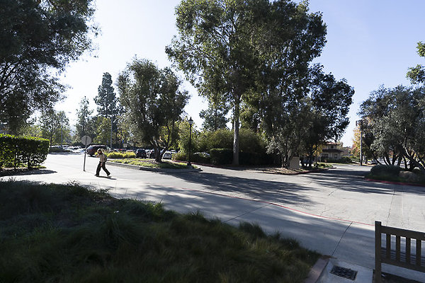 OCCIDENTAL COLLEGE-11