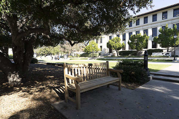 OCCIDENTAL COLLEGE-47