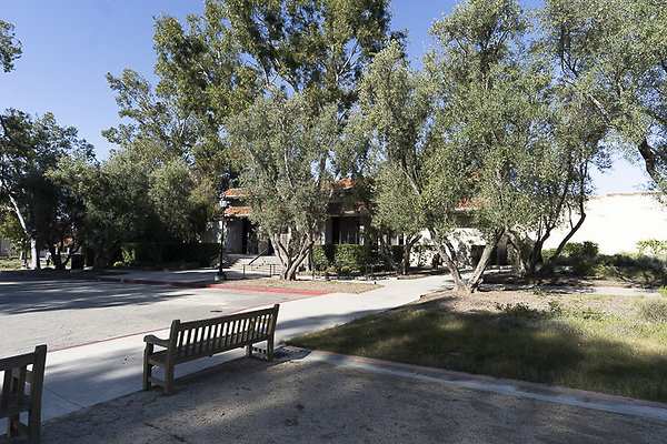 OCCIDENTAL COLLEGE-8