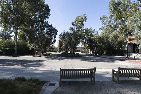 OCCIDENTAL COLLEGE-10