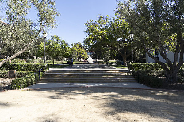 OCCIDENTAL COLLEGE-12