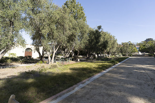 OCCIDENTAL COLLEGE-6