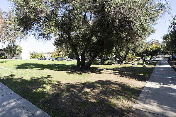 OCCIDENTAL COLLEGE-165 OCCIDENTAL COLLEGE-165