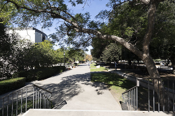 OCCIDENTAL COLLEGE-79 OCCIDENTAL COLLEGE-79