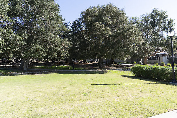 OCCIDENTAL COLLEGE-156 OCCIDENTAL COLLEGE-156