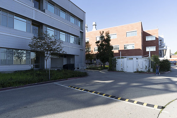 CAL STATE LA-50 CAL STATE LA-50