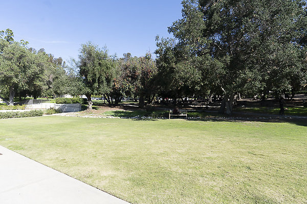 OCCIDENTAL COLLEGE-154 OCCIDENTAL COLLEGE-154