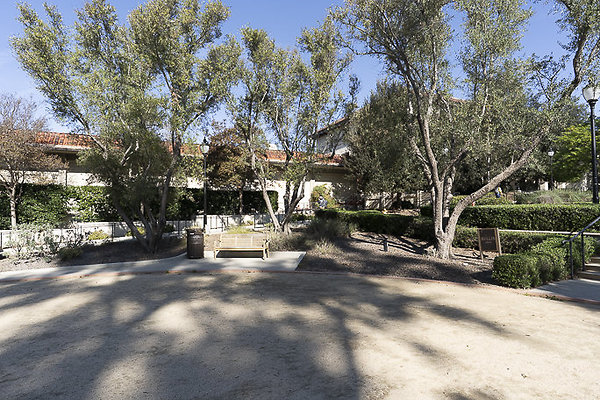 OCCIDENTAL COLLEGE-13