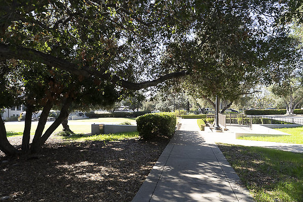 OCCIDENTAL COLLEGE-169 OCCIDENTAL COLLEGE-169