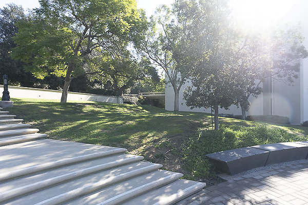 OCCIDENTAL COLLEGE-30