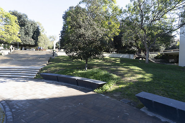 OCCIDENTAL COLLEGE-20