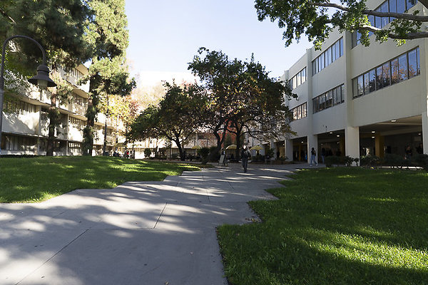 CAL STATE LA-163 CAL STATE LA-163