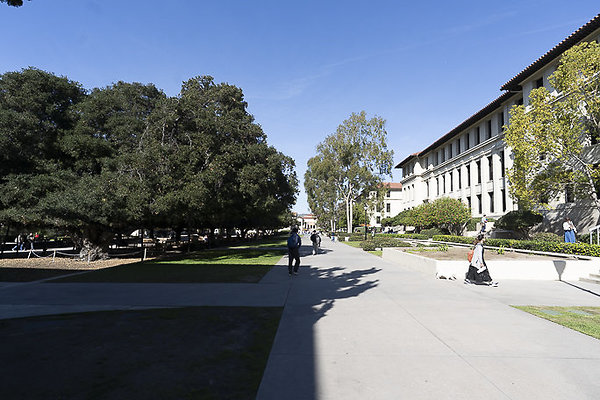 OCCIDENTAL COLLEGE-215