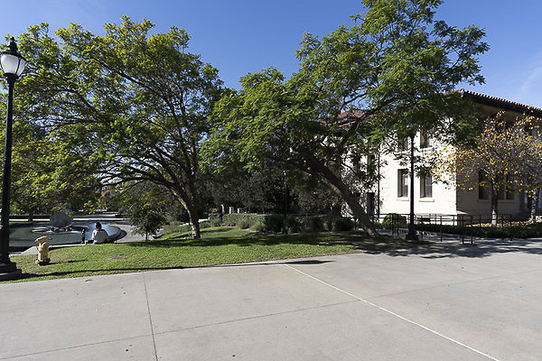 OCCIDENTAL COLLEGE-36