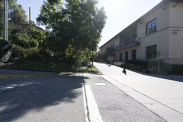 OCCIDENTAL COLLEGE-208