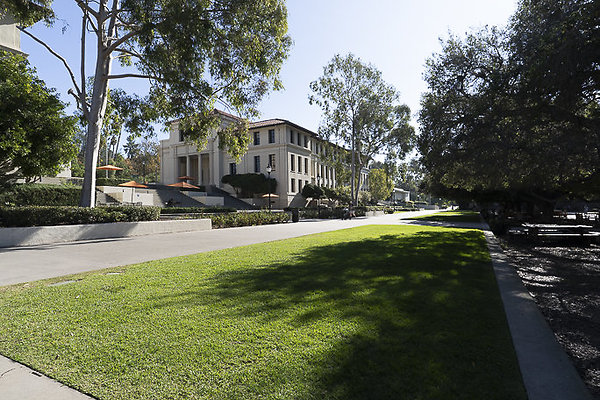 OCCIDENTAL COLLEGE-50