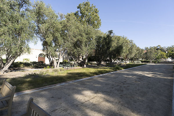 OCCIDENTAL COLLEGE-3