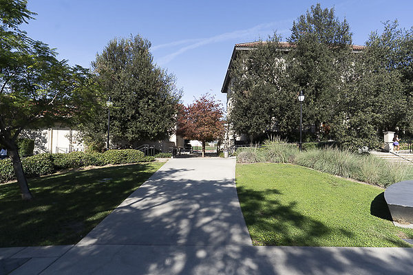 OCCIDENTAL COLLEGE-18